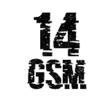 Logo 14 GSM