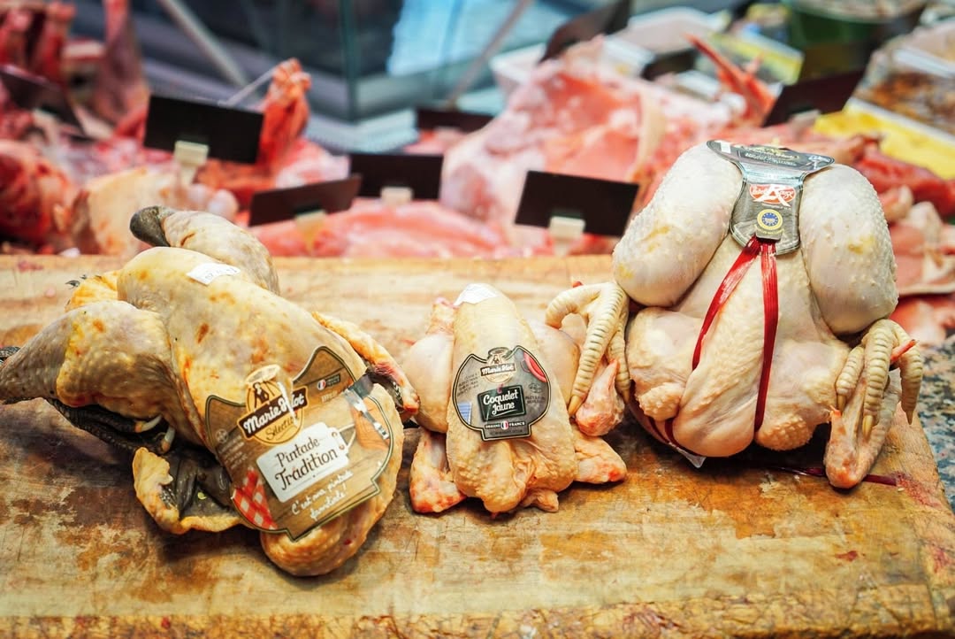 Pintade, coquelet et poulet fermiers Maison Viard
